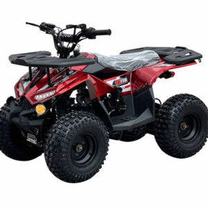 VITACCI RXR 110CC ATV